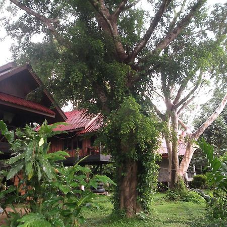Bamboo House Hotel Khao Sok National Park Ngoại thất bức ảnh