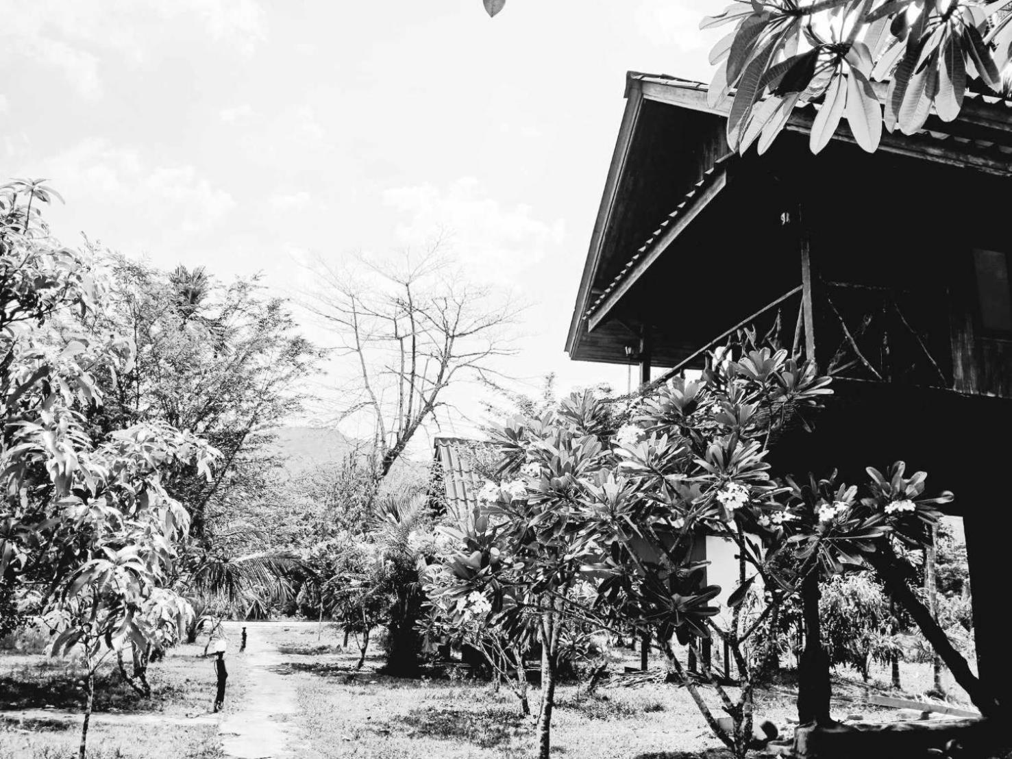 Bamboo House Hotel Khao Sok National Park Ngoại thất bức ảnh