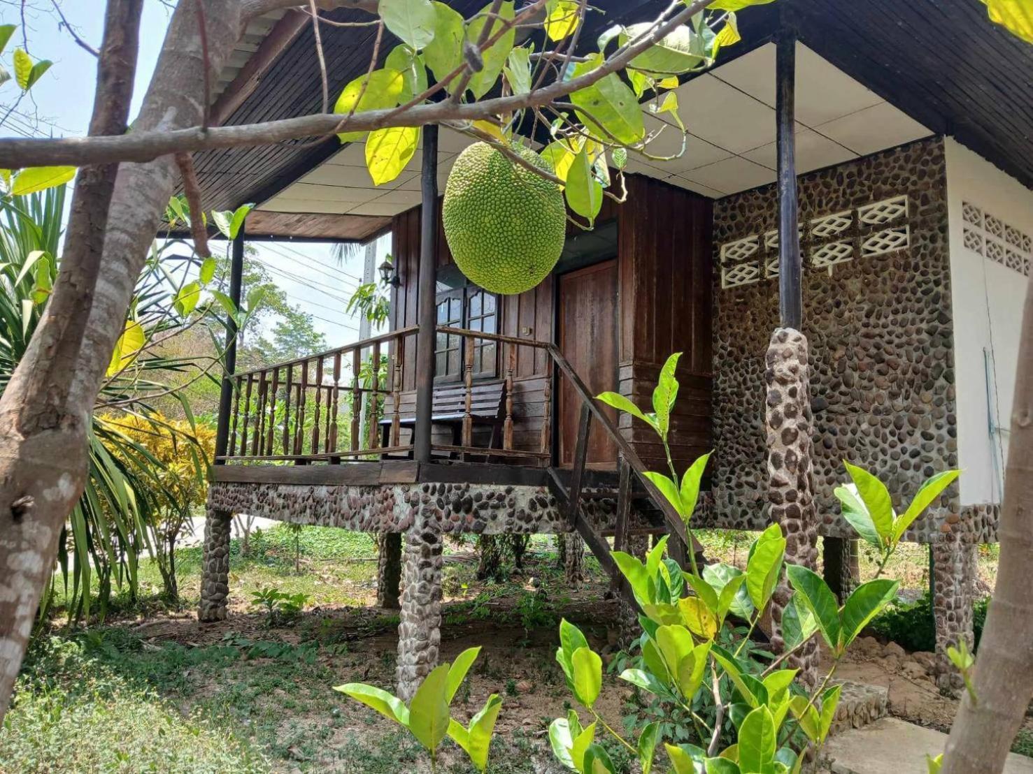 Bamboo House Hotel Khao Sok National Park Ngoại thất bức ảnh