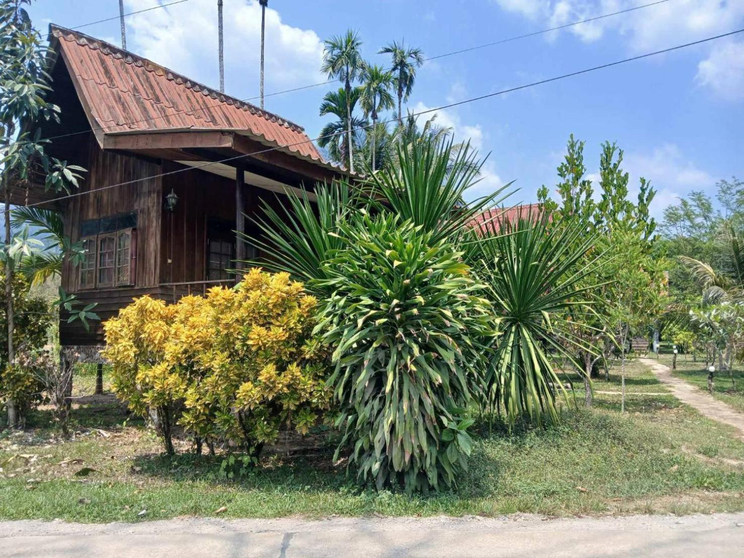 Bamboo House Hotel Khao Sok National Park Ngoại thất bức ảnh