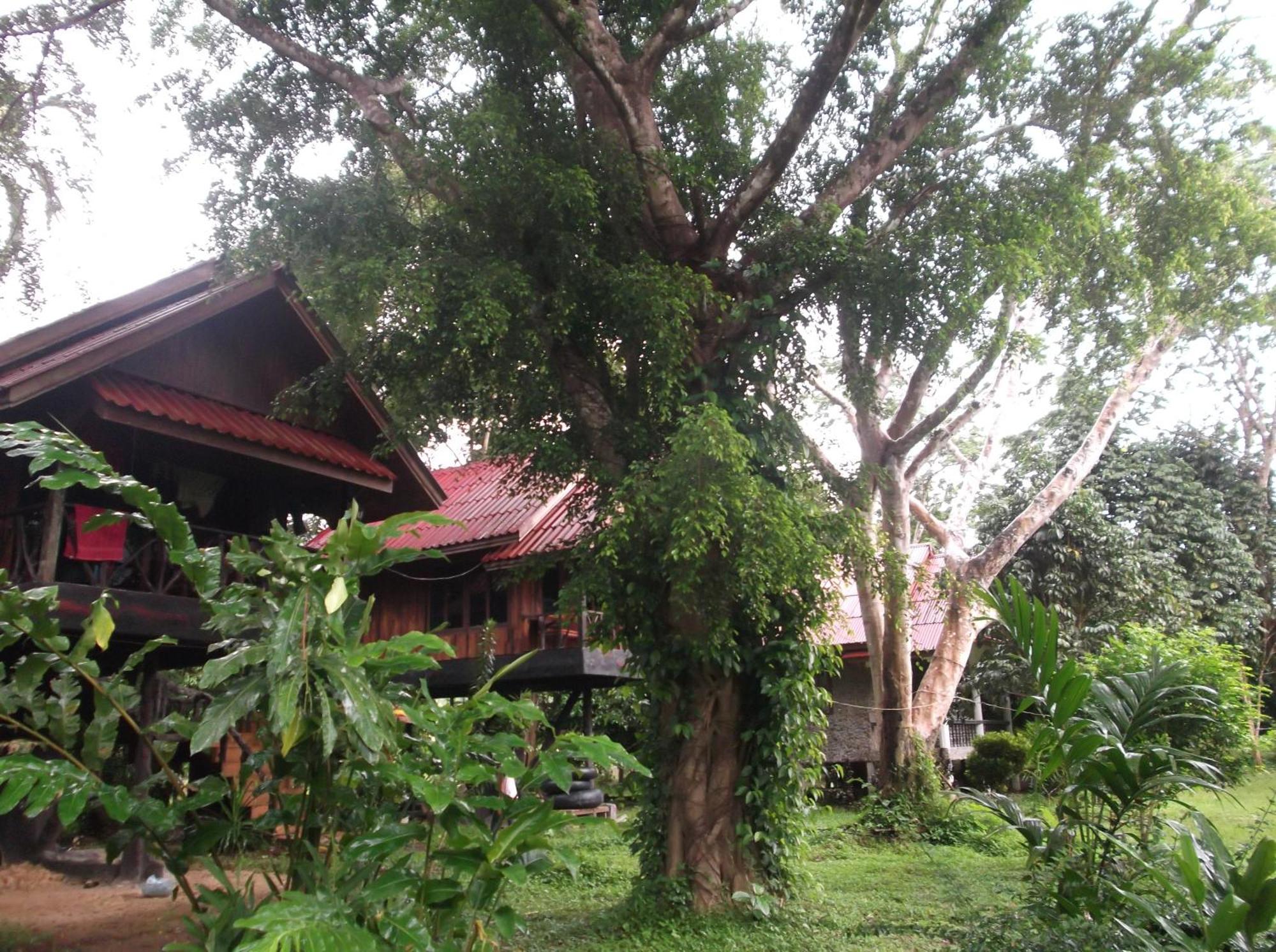 Bamboo House Hotel Khao Sok National Park Ngoại thất bức ảnh