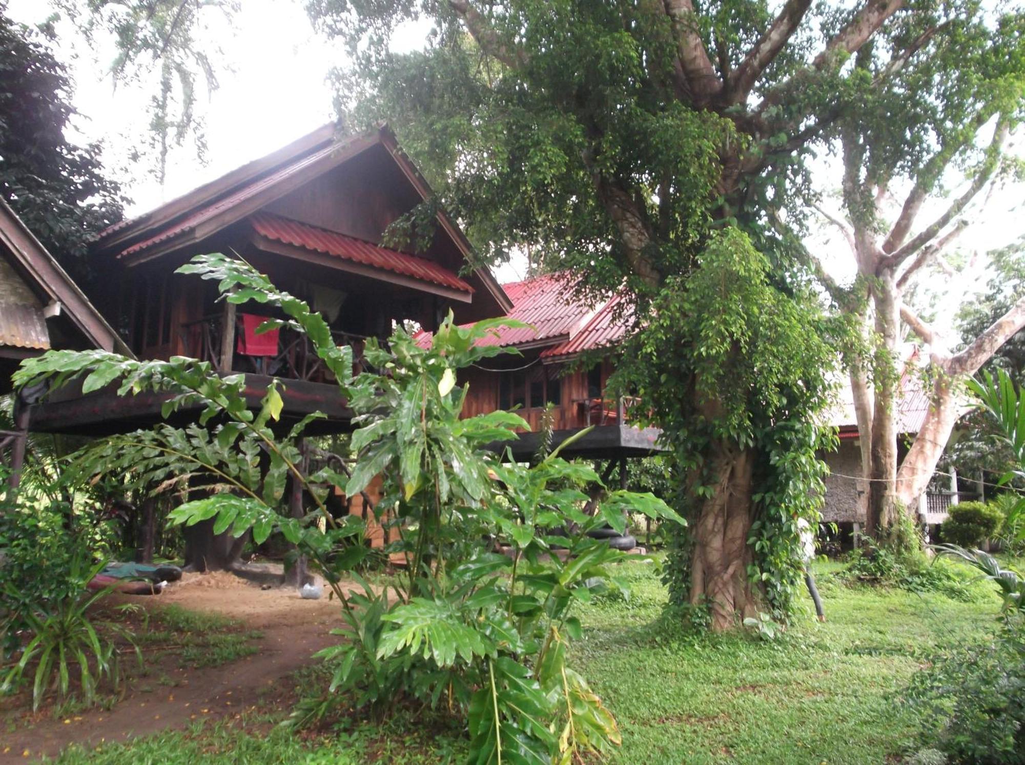 Bamboo House Hotel Khao Sok National Park Ngoại thất bức ảnh